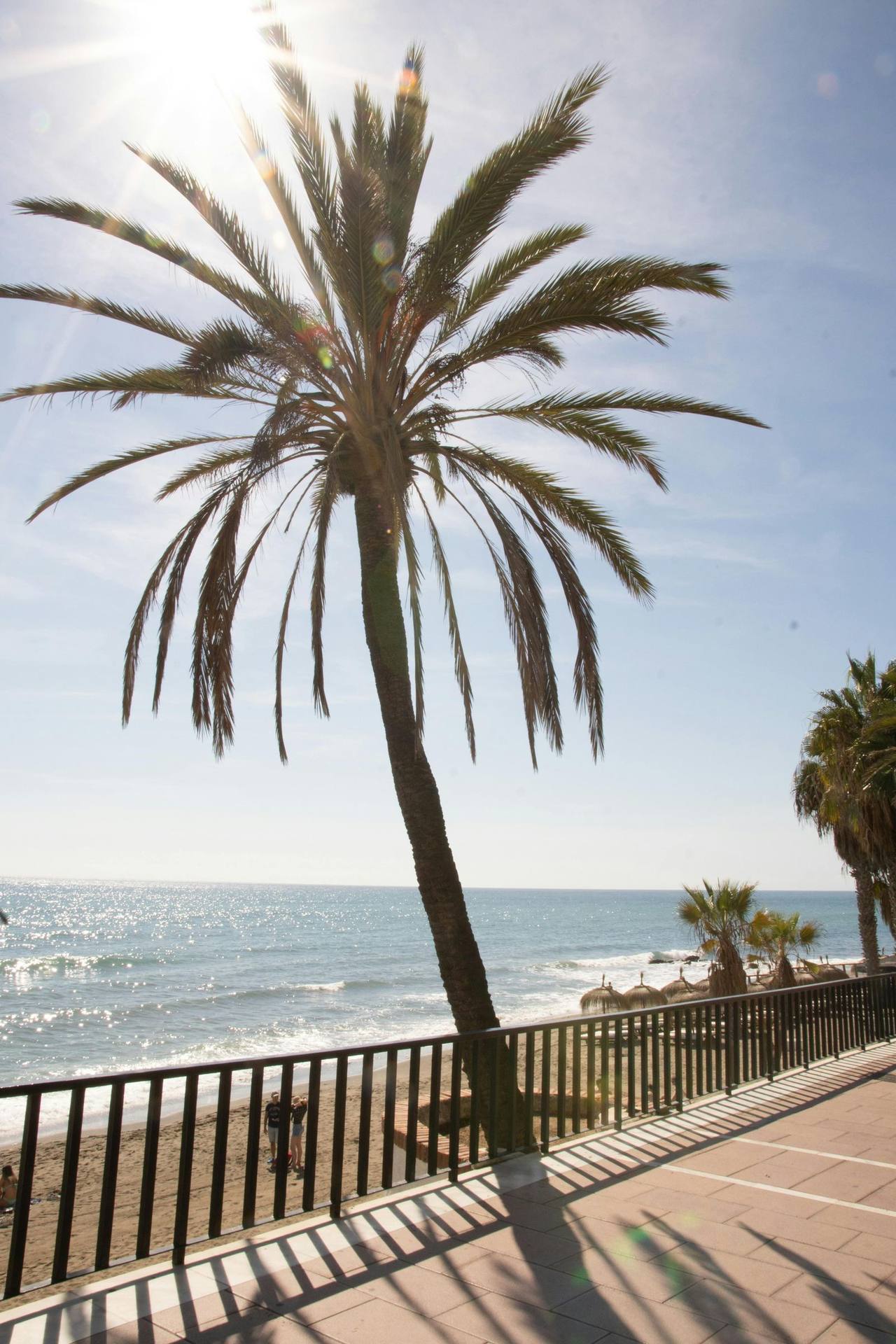 Playamar aan de Costa del Sol — Nederlandstalige makelaar Glaser